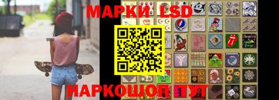 гидропоника Новозыбков