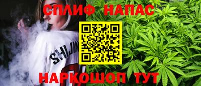 гидропоника Новозыбков