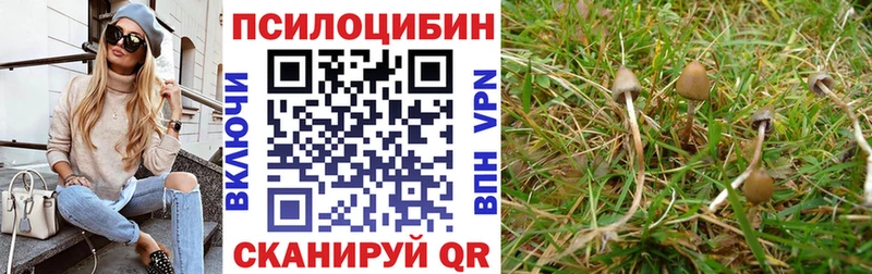хочу наркоту Учалы МЕГА tor Галлюциногенные грибы мицелий
