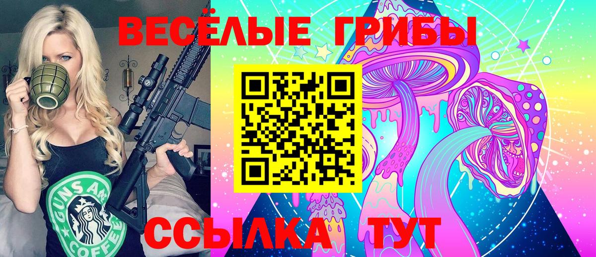 Галлюциногенные грибы Psilocybine cubensis Учалы